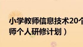 小学教师信息技术20个人研修计划（小学教师个人研修计划）