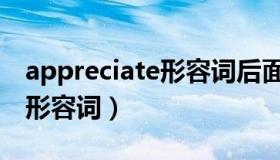 appreciate形容词后面接什么（appreciate形容词）