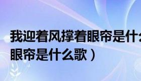 我迎着风撑着眼帘是什么歌名（我迎着风撑着眼帘是什么歌）