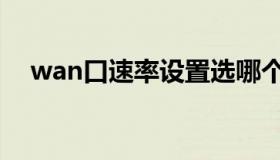 wan口速率设置选哪个速度快（wan口）