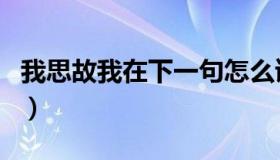 我思故我在下一句怎么读（我思故我在下一句）