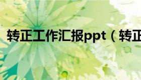 转正工作汇报ppt（转正工作总结ppt范文）