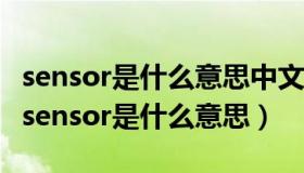 sensor是什么意思中文翻译是什么意思啊了（sensor是什么意思）