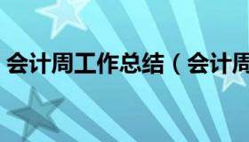 会计周工作总结（会计周工作总结与计划表）