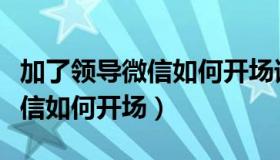 加了领导微信如何开场请多指教（加了领导微信如何开场）