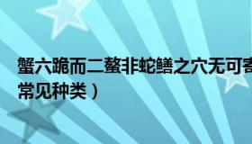 蟹六跪而二螯非蛇鳝之穴无可寄托者用心躁也翻译（蛇鳝的常见种类）