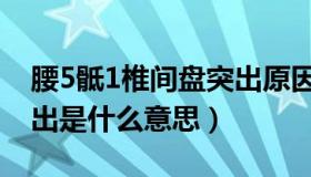 腰5骶1椎间盘突出原因（腰5一骶1椎间盘突出是什么意思）