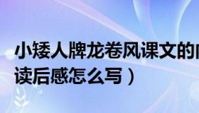 小矮人牌龙卷风课文的内容（小矮人牌龙卷风读后感怎么写）