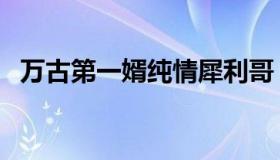 万古第一婿纯情犀利哥（纯情犀利哥作品）