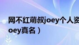 网不红萌叔joey个人资料年龄（网不红萌叔joey真名）