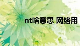 nt啥意思 网络用（NT啥意思）