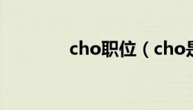 cho职位（cho是什么职位）