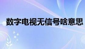 数字电视无信号啥意思（数字电视无信号）