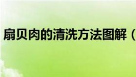 扇贝肉的清洗方法图解（扇贝肉的清洗方法）