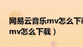 网易云音乐mv怎么下载到u盘（网易云音乐mv怎么下载）