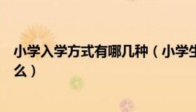 小学入学方式有哪几种（小学生入学方式和就读方式包括什么）