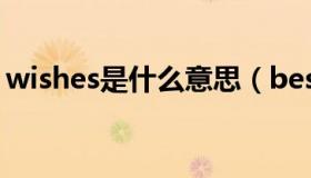 wishes是什么意思（best wishes什么意思）