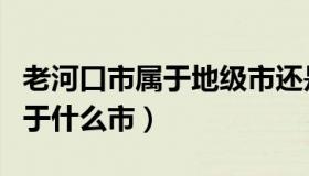 老河口市属于地级市还是县级市（老河口市属于什么市）