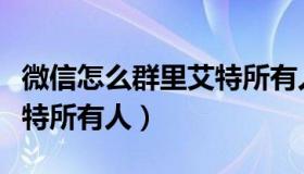 微信怎么群里艾特所有人（在微信群里怎么艾特所有人）