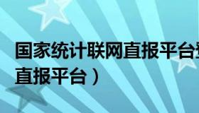 国家统计联网直报平台登录入口（国家统计网直报平台）