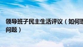 领导班子民主生活评议（如何理解新民主主义革命的领导权问题）