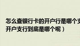 怎么查银行卡的开户行是哪个支行（怎样查询自己银行卡的开户支行到底是哪个呢）