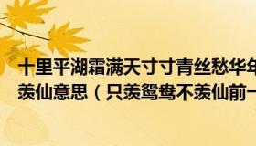 十里平湖霜满天寸寸青丝愁华年对月形单望相护只羡鸳鸯不羡仙意思（只羡鸳鸯不羡仙前一句）