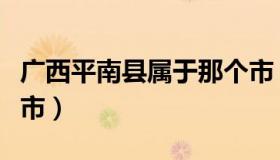 广西平南县属于那个市（广西平南县属于哪个市）