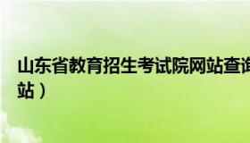 山东省教育招生考试院网站查询（山东省教育招生考试院网站）