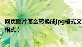 网页图片怎么转换成jpg格式文件（网页图片怎么转换成jpg格式）