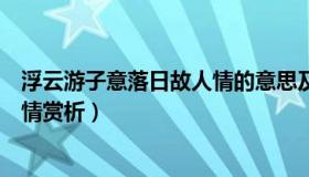 浮云游子意落日故人情的意思及情感（浮云游子意落日故人情赏析）