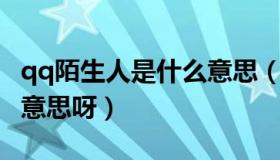 qq陌生人是什么意思（QQ里的陌生人是什么意思呀）