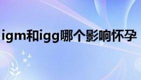 igm和igg哪个影响怀孕（IgM和IgG的区别）