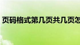 页码格式第几页共几页怎么设置（页码格式）