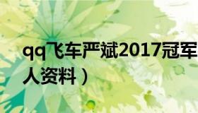 qq飞车严斌2017冠军视频（qq飞车严斌个人资料）