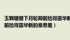 玉颗珊珊下月轮殿前拾得露华新的全诗（玉颗珊珊下月轮 殿前拾得露华新的意思是）