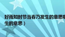 好雨知时节当春乃发生的意思哪个字（好雨知时节当春乃发生的意思）