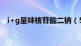 i+g呈味核苷酸二钠（5 呈味核苷酸二钠）