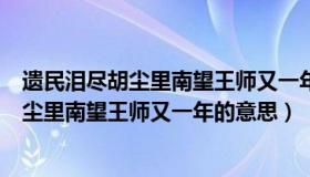 遗民泪尽胡尘里南望王师又一年的意思是什么（遗民泪尽胡尘里南望王师又一年的意思）