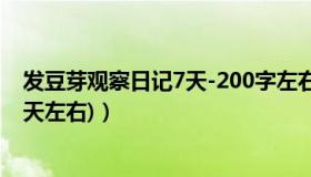 发豆芽观察日记7天-200字左右（观察发豆芽的过程日记(7天左右)）