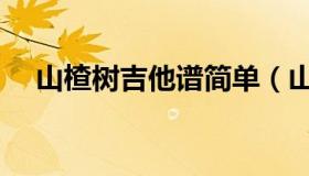 山楂树吉他谱简单（山楂树简谱吉他谱）