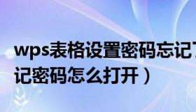 wps表格设置密码忘记了怎么办（wps表格忘记密码怎么打开）