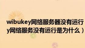 wibukey网络服务器没有运行（电脑能上网但显示wibukey网络服务没有运行是为什么）