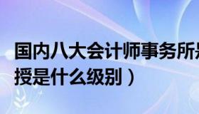 国内八大会计师事务所是哪八大（国内助理教授是什么级别）