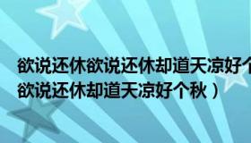 欲说还休欲说还休却道天凉好个秋前一句的意思（欲说还休欲说还休却道天凉好个秋）