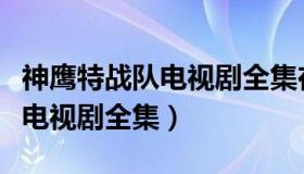 神鹰特战队电视剧全集在线观看（神鹰特战队电视剧全集）