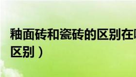 釉面砖和瓷砖的区别在哪里（釉面砖和瓷砖的区别）