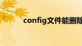 config文件能删除吗（config）