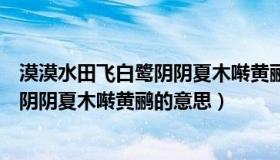 漠漠水田飞白鹭阴阴夏木啭黄鹂什么意思（漠漠水田飞白鹭阴阴夏木啭黄鹂的意思）