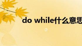 do while什么意思（do while）